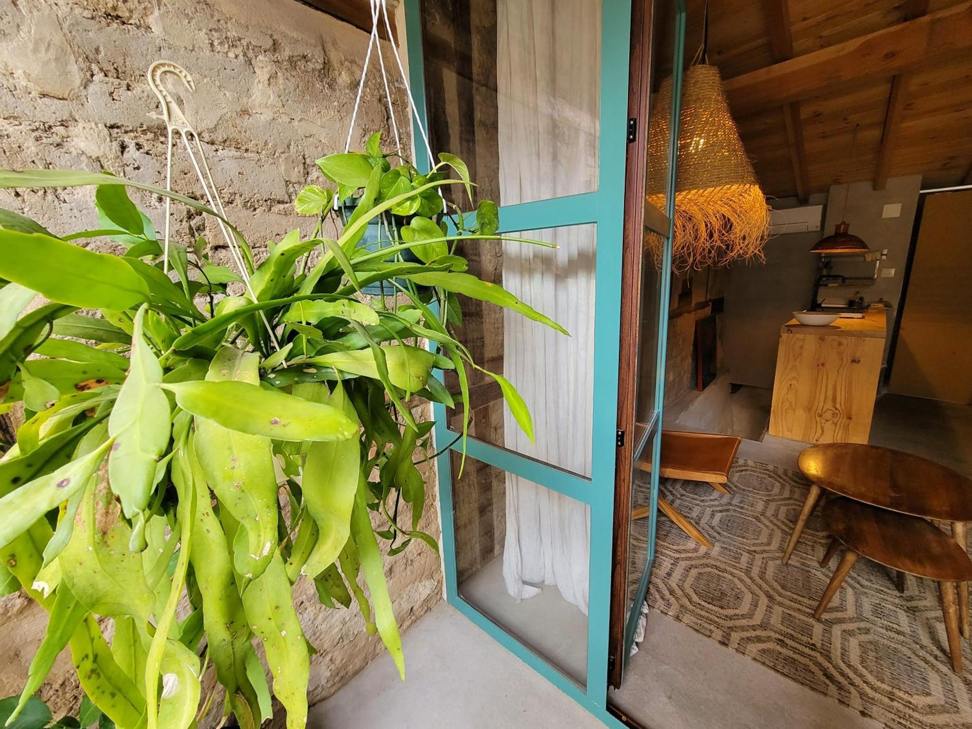 Casita Acceso Piscina Y Jardin La Nueva カンデレダ エクステリア 写真